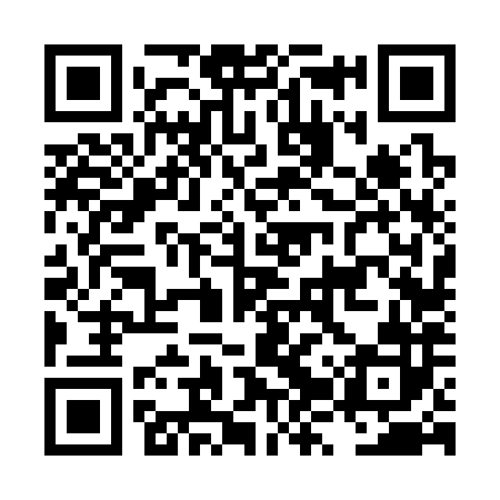 QR code for LZV382