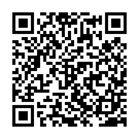 QR code for LZV403