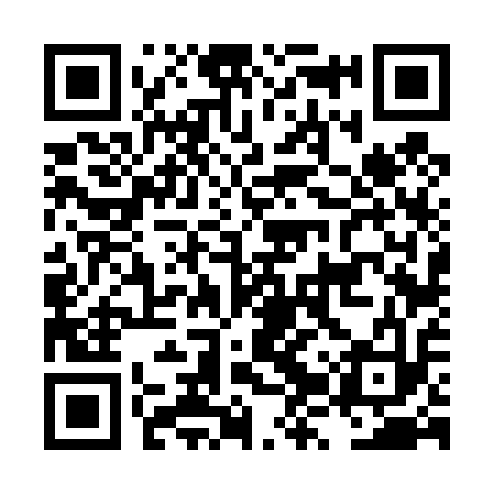 QR code for LZV413