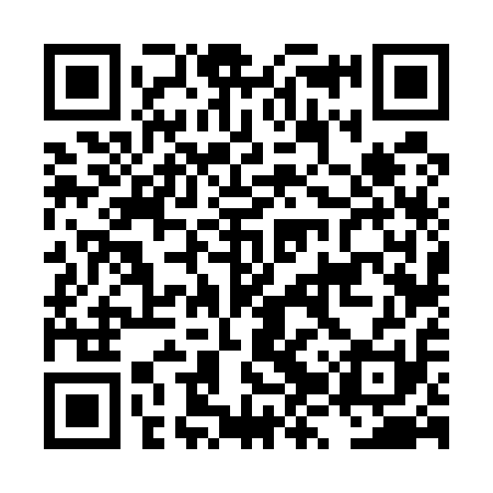 QR code for LZV511