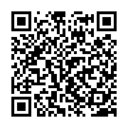 QR code for LZV528
