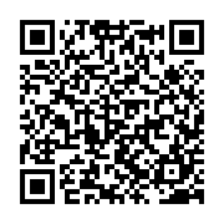 QR code for LZV804