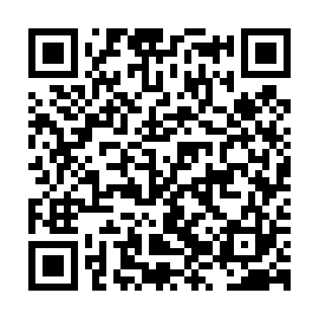 QR code for LZW423
