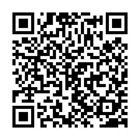 QR code for LZW489