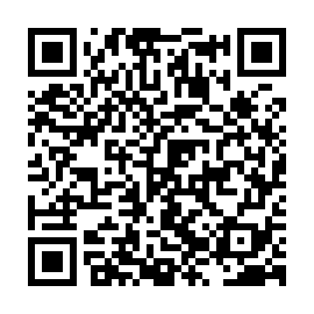 QR code for LZW979