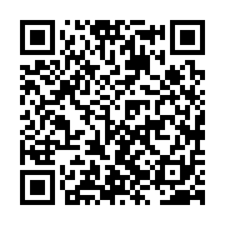 QR code for LZX311