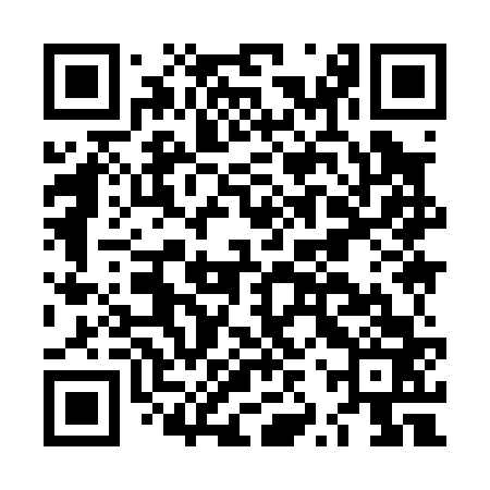QR code for LZY063