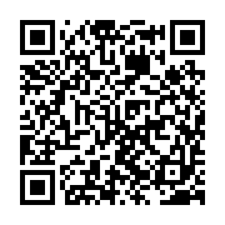 QR code for LZY293