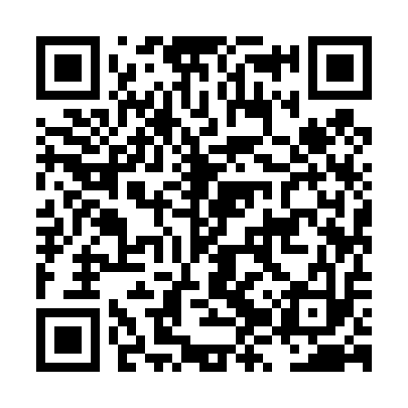 QR code for LZY413
