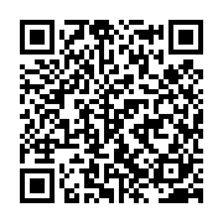 QR code for LZY420