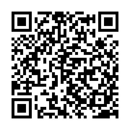 QR code for LZY981