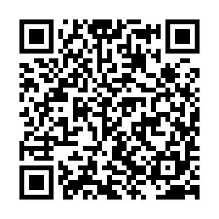 QR code for LZY995