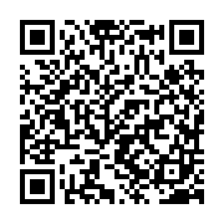QR code for LZZ203