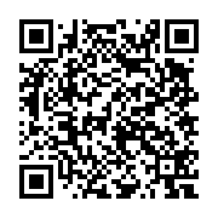 QR code for LZZ419