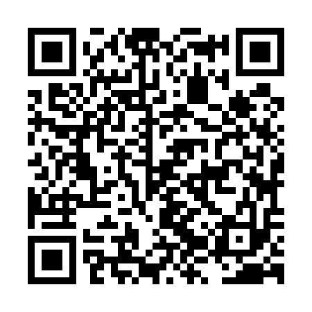 QR code for LZZ513