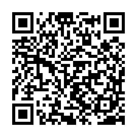QR code for LZZ541