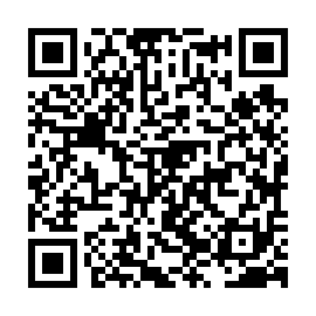 QR code for LZZ611