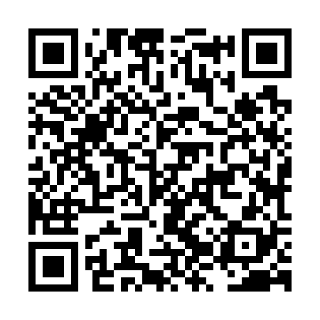 QR code for LZZ728