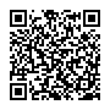 QR code for LZZ803