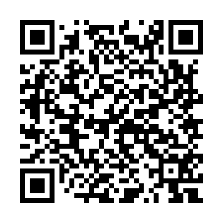 QR code for LZZ954