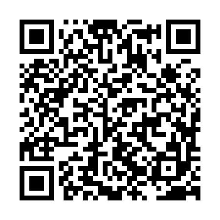 QR code for LZZ992