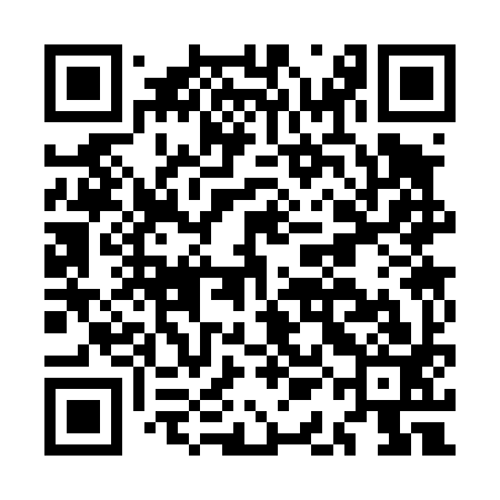 QR code for MAC493