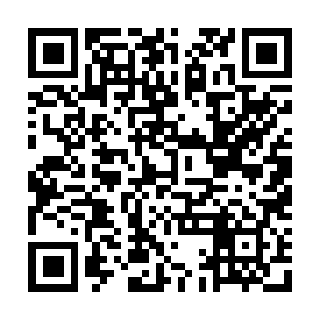 QR code for MAE289