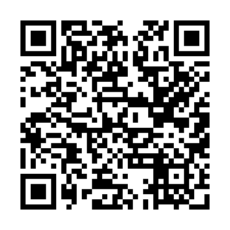 QR code for MAE389