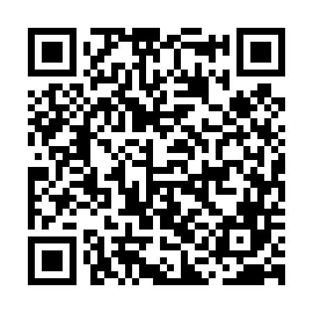 QR code for MAE446
