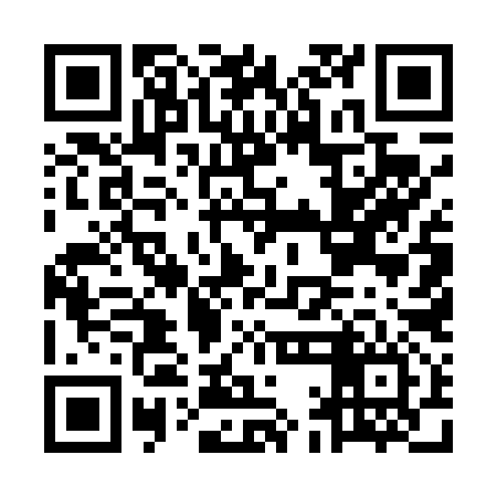 QR code for MAE496