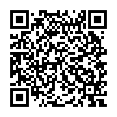 QR code for MAG295