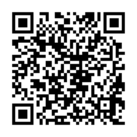 QR code for MAG398