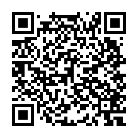 QR code for MAG649
