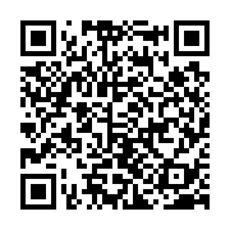 QR code for MAG739