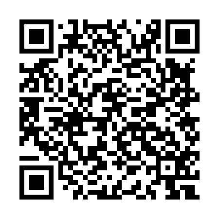 QR code for MAG816