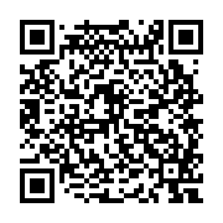 QR code for MAO385
