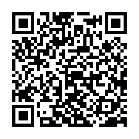 QR code for MAP029