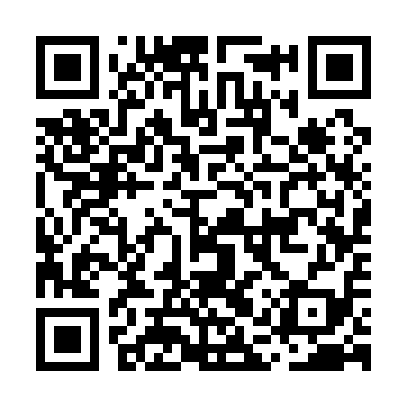 QR code for MAS119