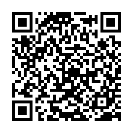 QR code for MAS307