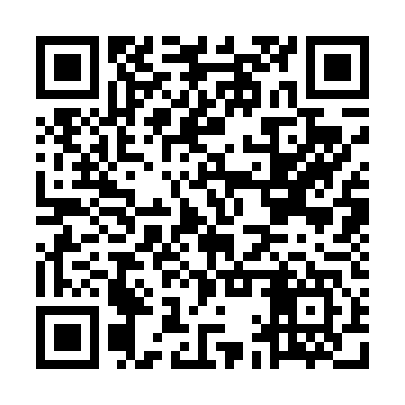 QR code for MAS447