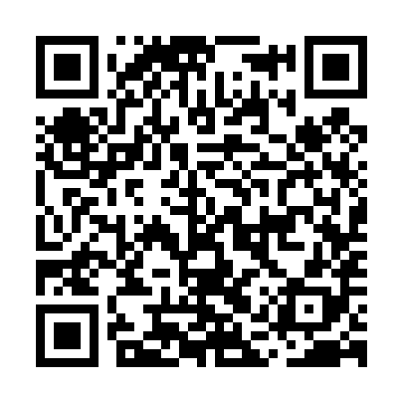 QR code for MAS488