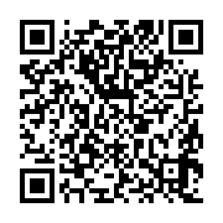 QR code for MAS599