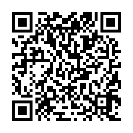 QR code for MAS918