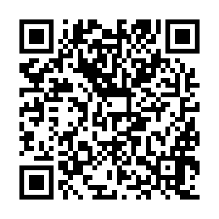 QR code for MAV196
