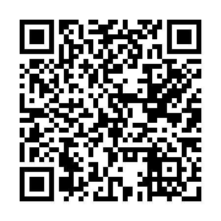 QR code for MAV381