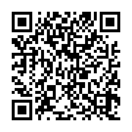 QR code for MAV438