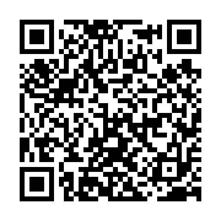 QR code for MAV613