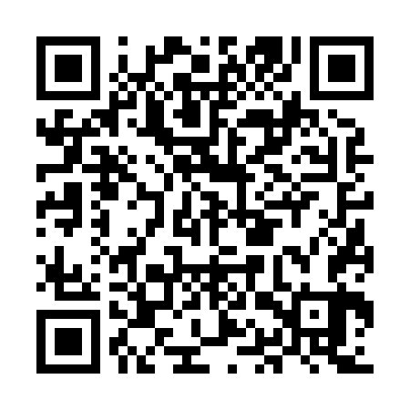QR code for MAV863