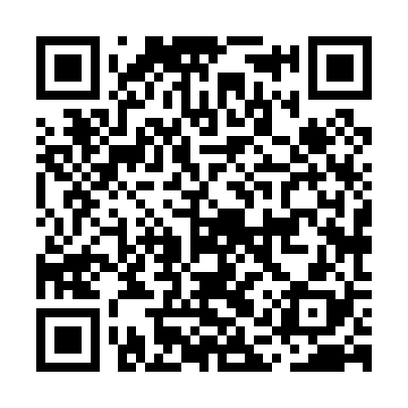 QR code for MAX028
