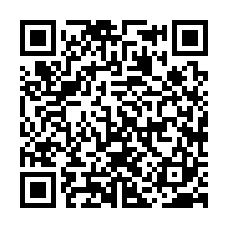 QR code for MAX323